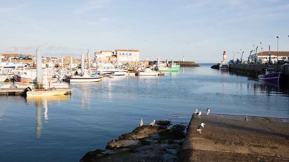 camping oleron3
